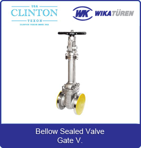 Bellow Sealed Valve Gate V.