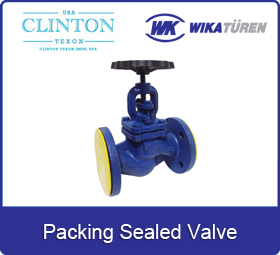 Packing-Sealed-Valve-Group